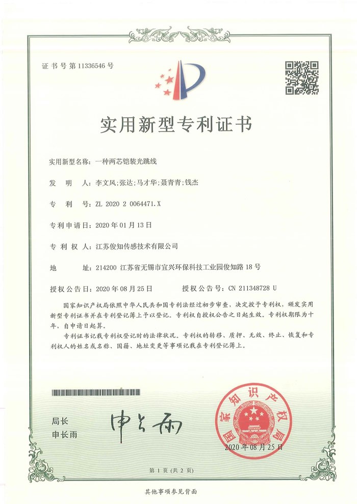 一種兩芯鎧裝光跳線